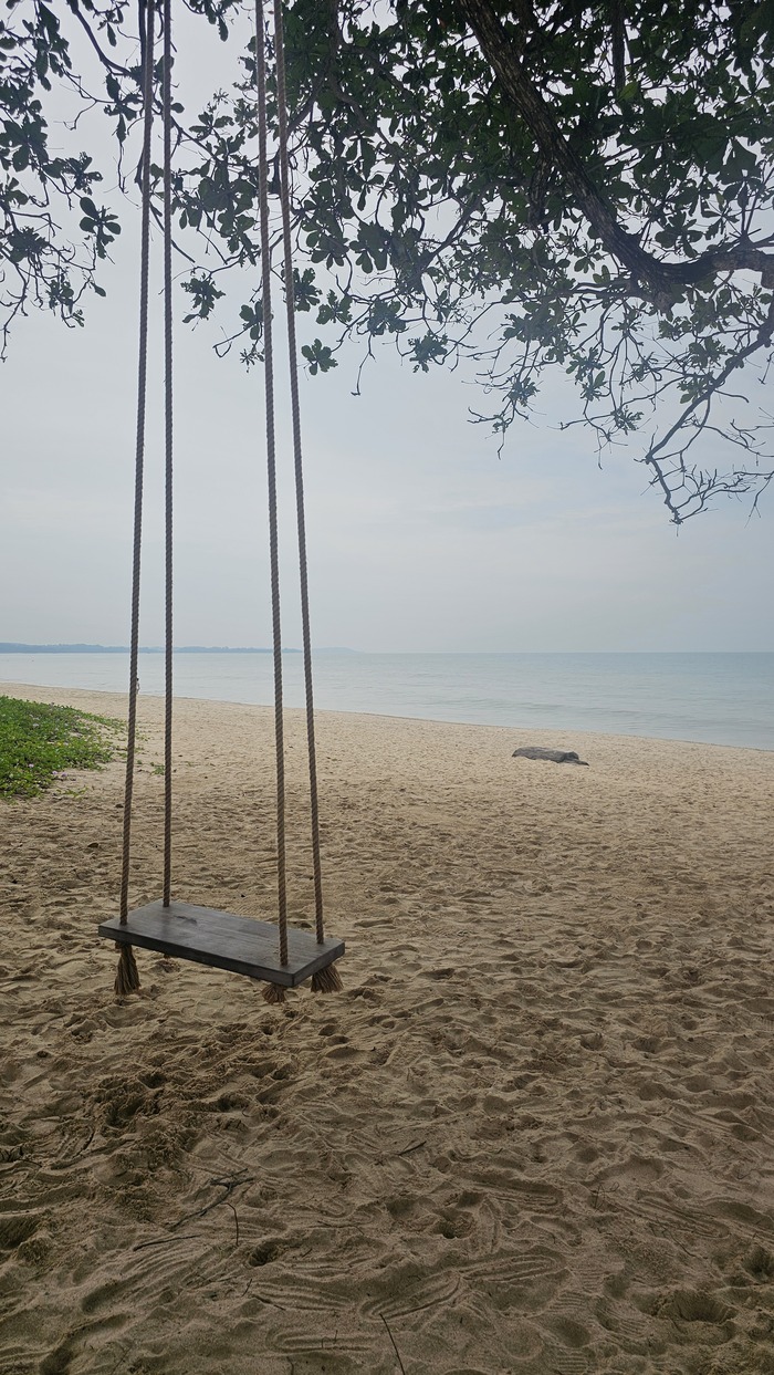 + 29 ����, + 29 ������, ������ ����, ����� � ����������� ����� �����