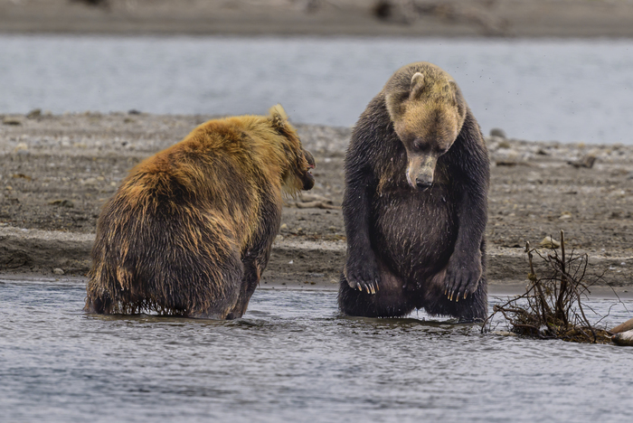 Я больше так не буду