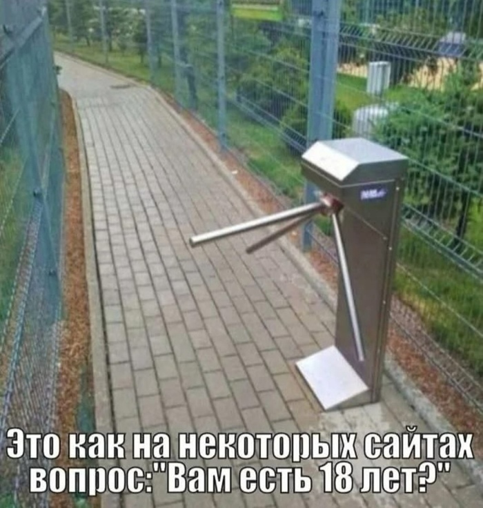    ,   , , Telegram ()