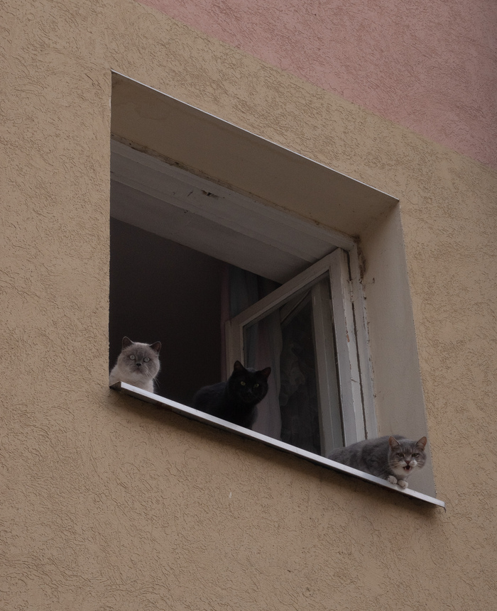    , , , ,  , , 