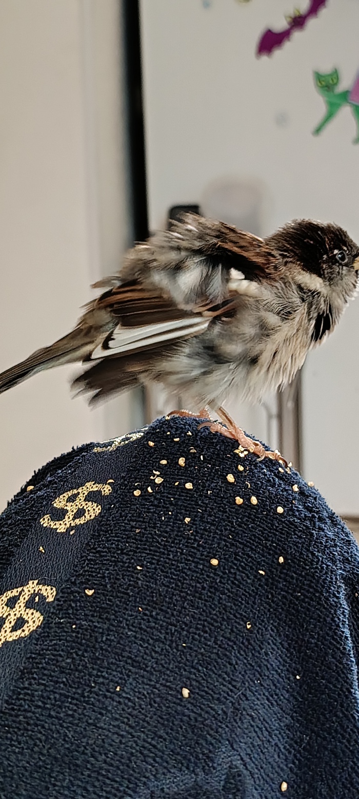 ���� ��������� ��������, ������ ��� ����� � ������. ��� ����� ������ ����� ��������� �����, ��� ��� �����🤣