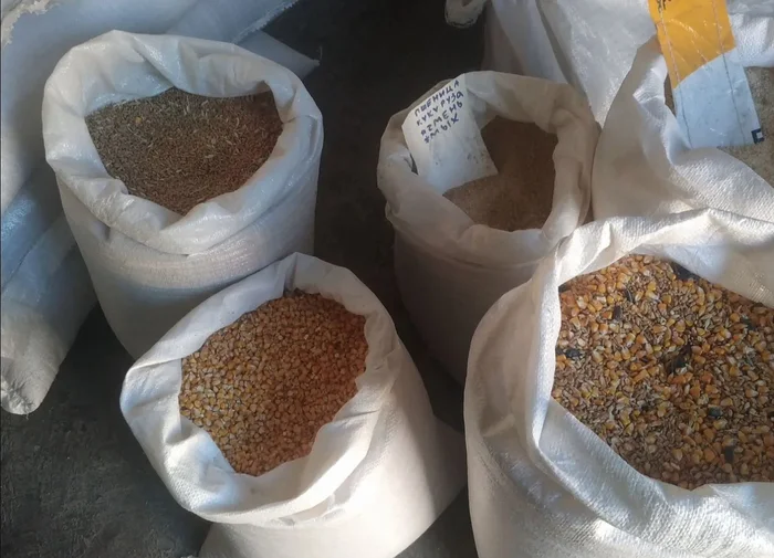 Поставил 2 автомата с кормом для уточек в парке. Делюсь результатами Бизнес, Малый бизнес, Предпринимательство, Личный опыт, Вендинг, Стартап, Услуги, Утка, Дикие утки, Бизнес по-русски, Бизнес-идея, Открытие бизнеса, Бизнес-план, Корм для животных, Пруд, Длиннопост Поставил 2 автомата с кормом для уточек в парке. Делюсь результатами Бизнес, Малый бизнес, Предпринимательство, Личный опыт, Вендинг, Стартап, Услуги, Утка, Дикие утки, Бизнес по-русски, Бизнес-идея, Открытие бизнеса, Бизнес-план, Корм для животных, Пруд, Длиннопост