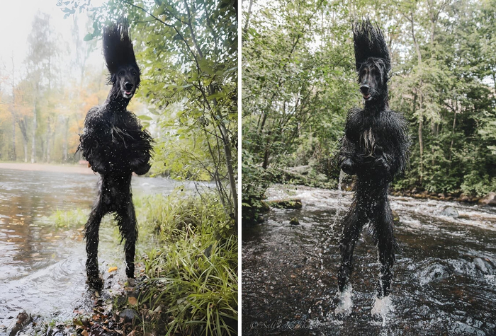 Типичные сны при температуре 39.