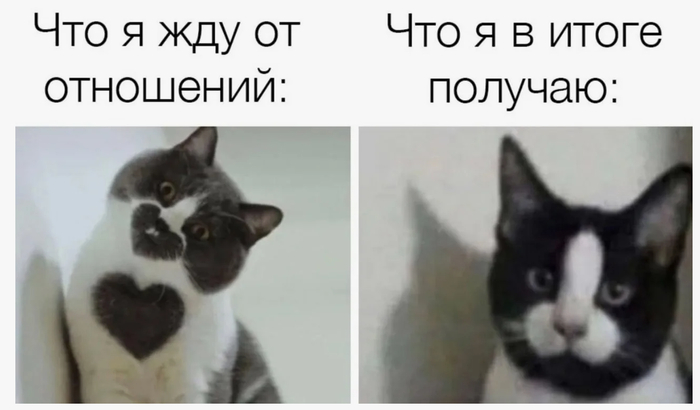  :                  , , , , , ,  , , 