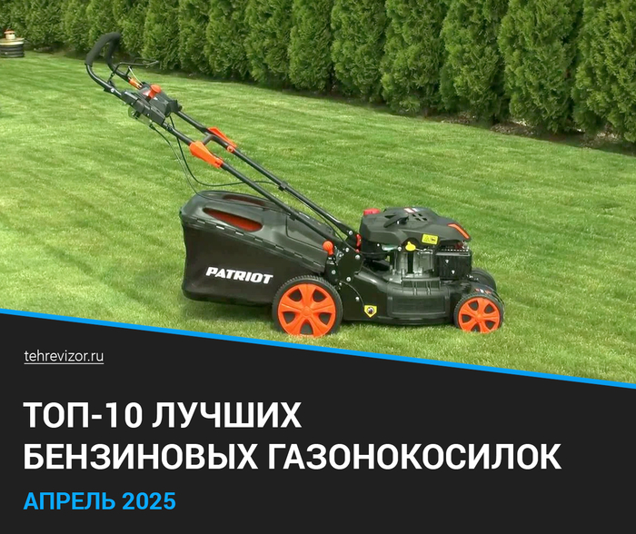    2025 :      ( 10) , ,  , , , ,   , -, 