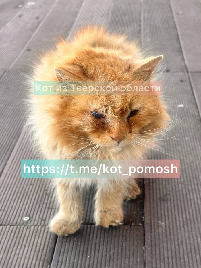 3         .     .       ,  ,  , , , , Telegram (),  ,  