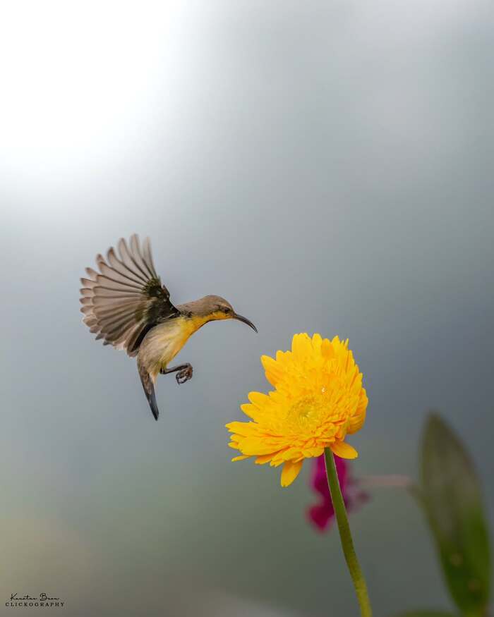   , , ,  ,  , , , 