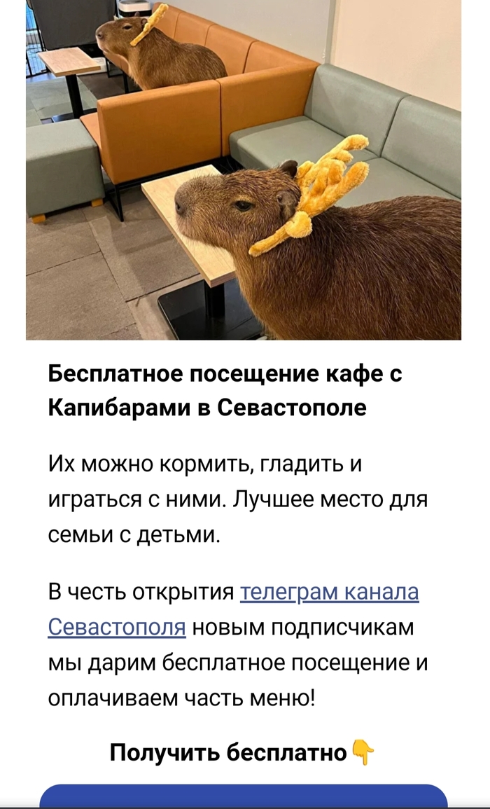  , ? , ,  , , 