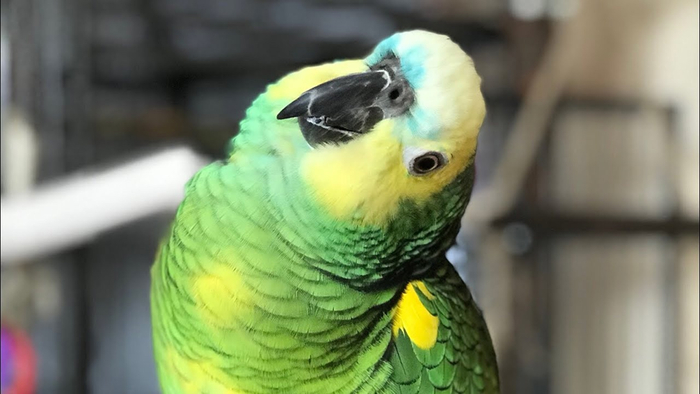    ,  , , , , 