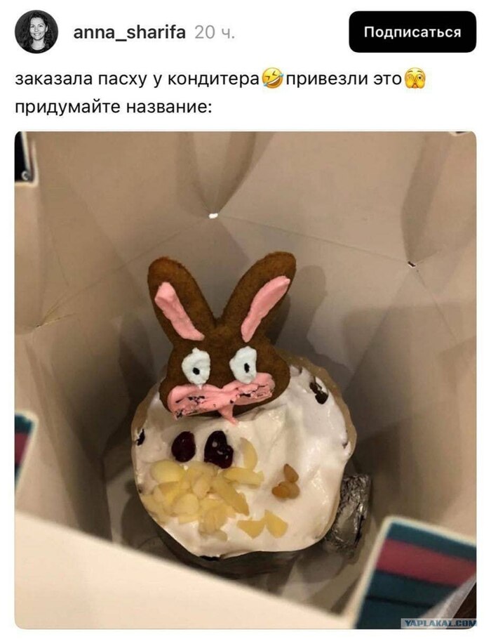 <!--noindex--><a href="https://pikabu.ru/story/ostorozhno_paskhalnaya_vyipechka_12611184?u=https%3A%2F%2Ft.me%2Fyaplakal%2F55189&t=https%3A%2F%2Ft.me%2Fyaplakal%2F55189&h=df51a7aa6e541f55dc725c494adf918d4c44b228" title="https://t.me/yaplakal/55189" target="_blank" rel="nofollow noopener">https://t.me/yaplakal/55189</a><!--/noindex-->