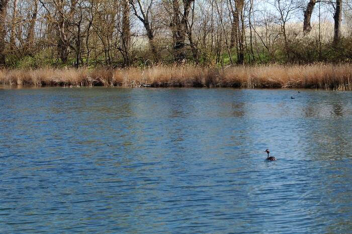 На реке Эльбузд