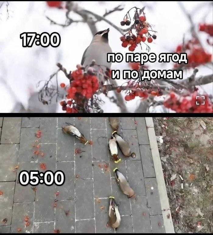     ,   , , , , , 