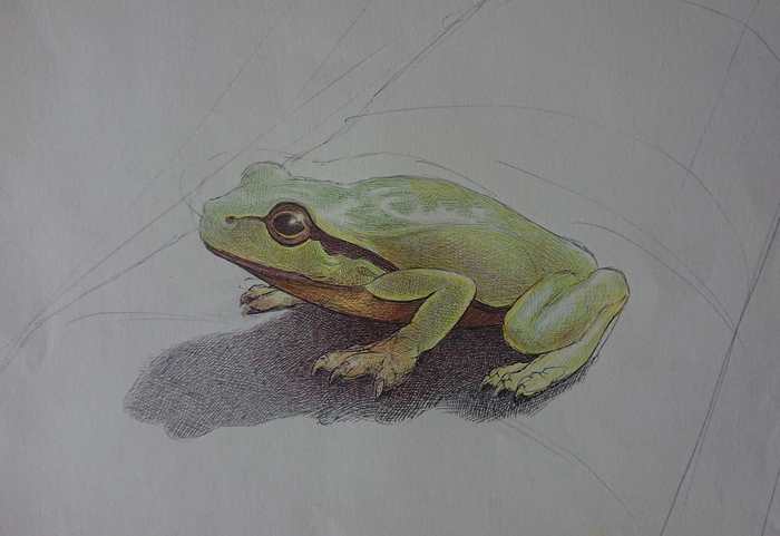 ������� � ������ ��������� (��������, ������ �4, ������� ��������� �����, 2023 ���)