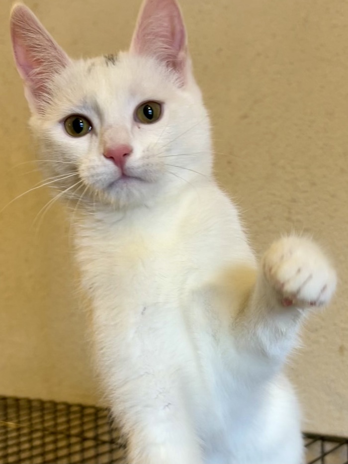 , ! , !       , , , ,   , ,  , ,  ,  , 
