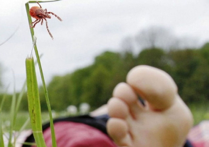  ,        ,    :      ,     ,   ,  .