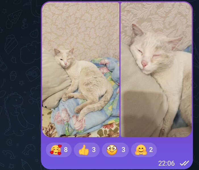 ��� ��� �� ������� �����������. � ����� � ���������)