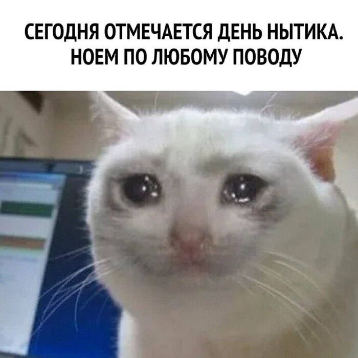 <a href="https://pikabu.ru/story/den_nyitikov_otmechaetsya_segodnya__national_gripers_day_12613509?u=https%3A%2F%2Ft.me%2Finteresno_all&t=%D0%98%D1%81%D1%82%D0%BE%D1%87%D0%BD%D0%B8%D0%BA&h=ccd8fe6741ef1cd131721288385385f2f6cefd43" title="https://t.me/interesno_all" target="_blank" rel="nofollow noopener"></a>