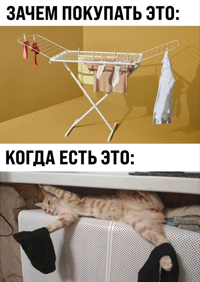   ? ,  , , , , ,   