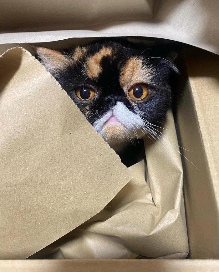 Нахмурился