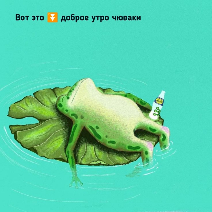     , ,  , It Is Wednesday My Dudes, , ,   