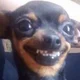 ������ ������������ rikkosho