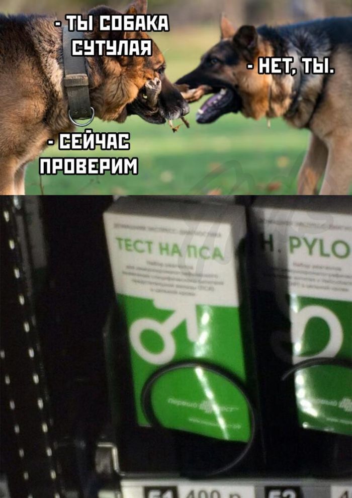    ? ,   , , 