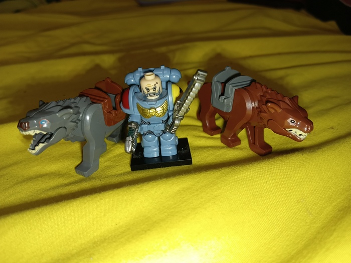 Есть три волка. Но есть нюанс.