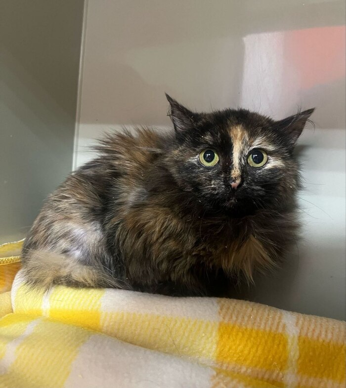 ���� � �������