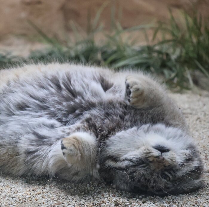 Что пилимкаешь, мне ко второй!