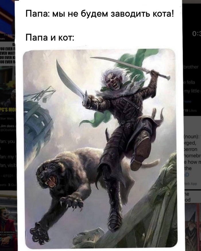     298 Dungeons & Dragons,   , ,  , , , DnD 5, ,   