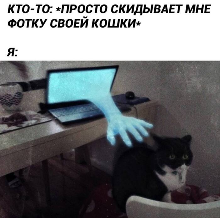 ,      ...