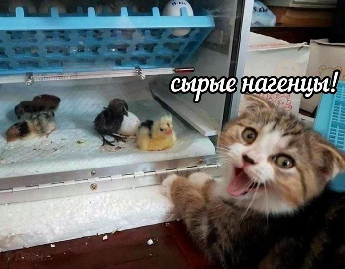  !