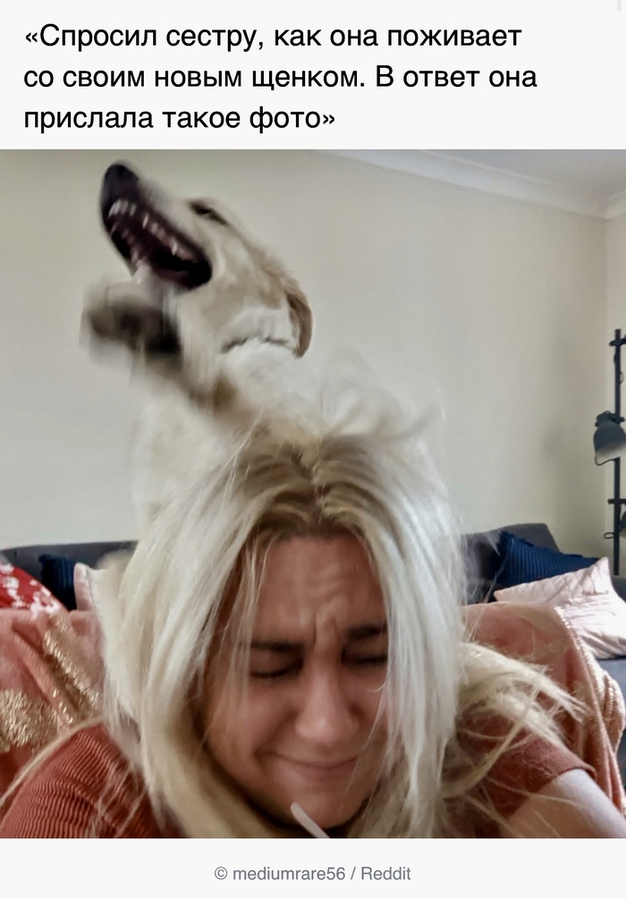 Видимо, хорошо