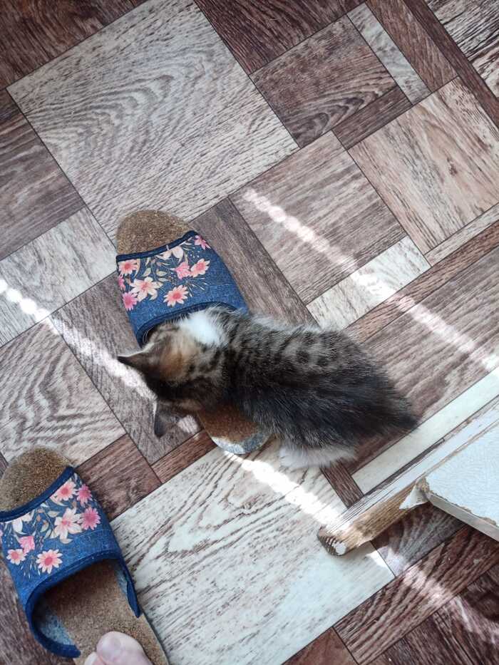    2 , , , , 