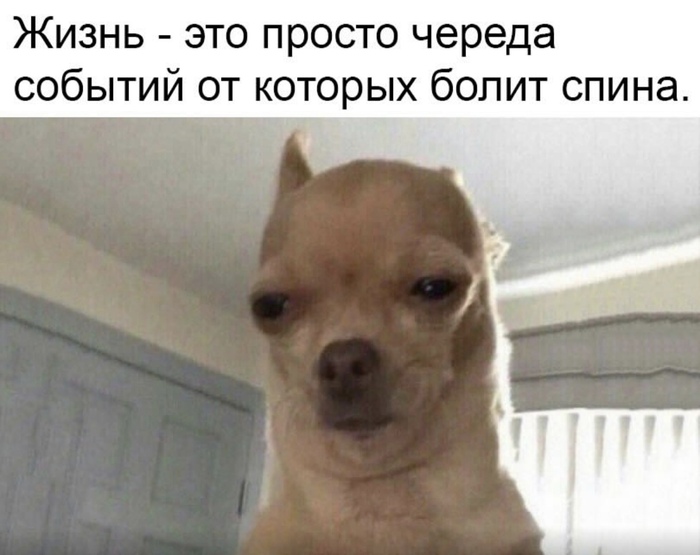      , , ,  ,  , , , ,  ,   , , ,   