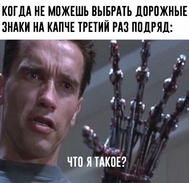   ,   , Telegram ()