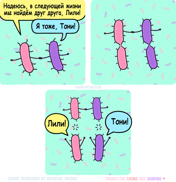  , , Mrlovenstein, , , ,  