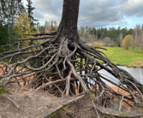 �������