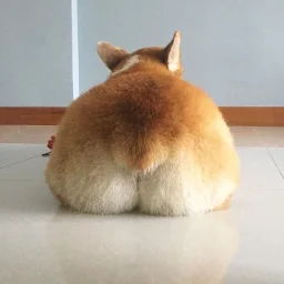 Zhueba