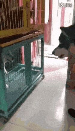   , , , 