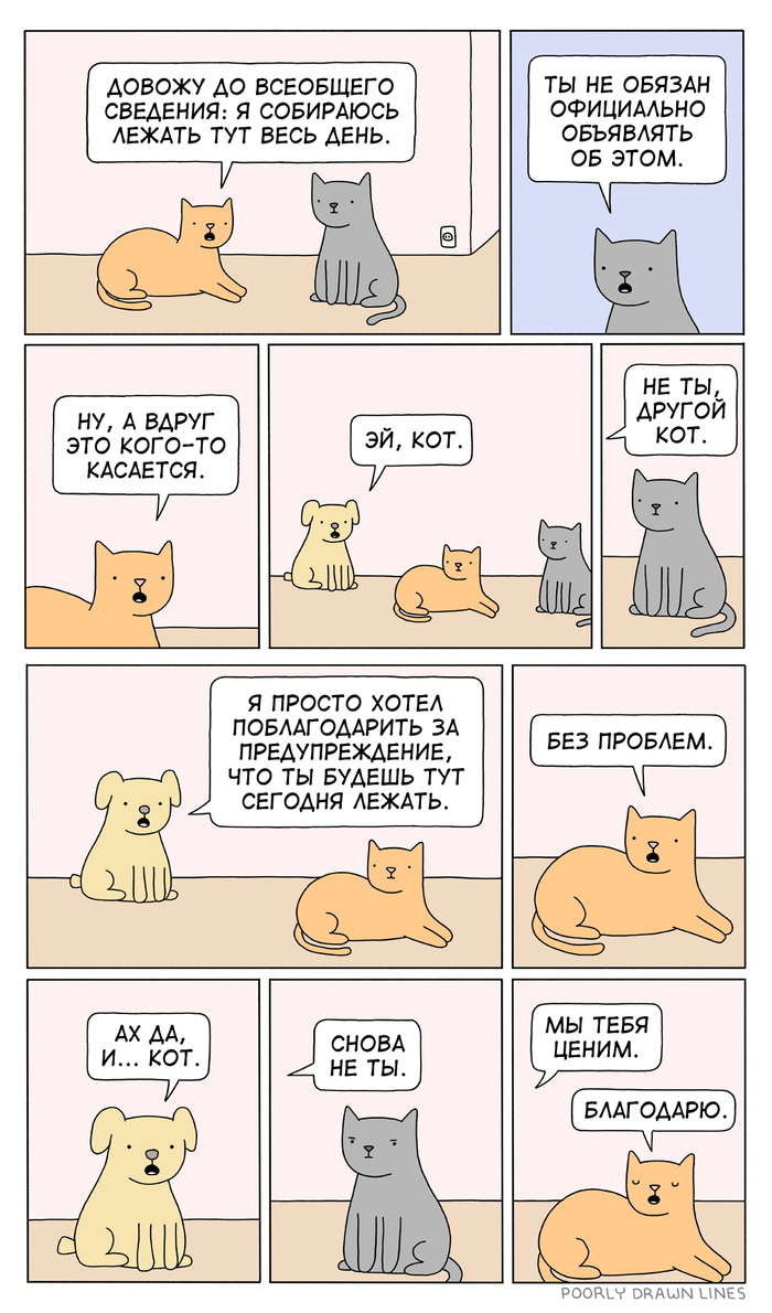 -   , Poorly Drawn Lines, 