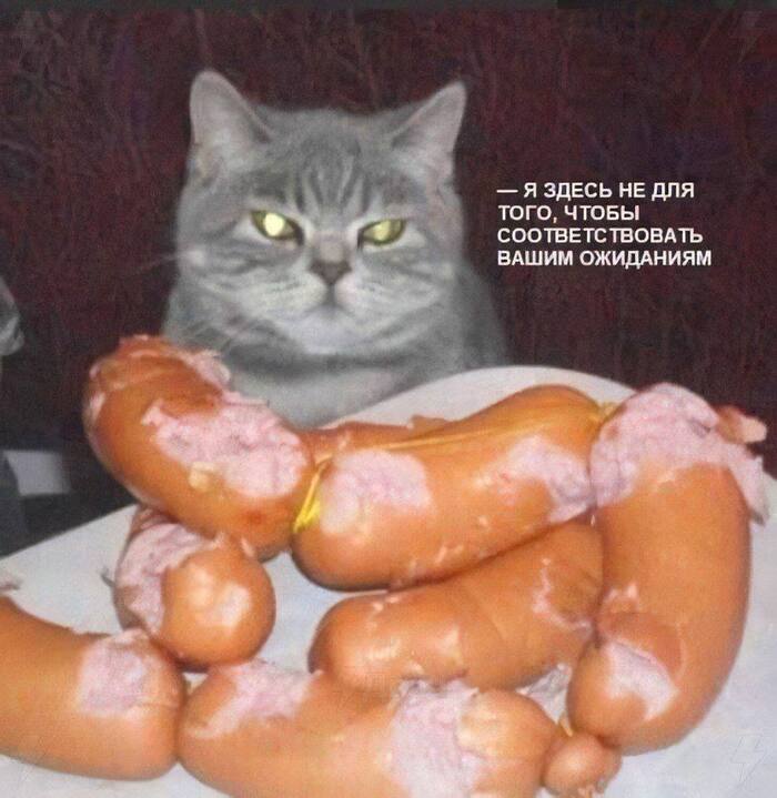  , ! ,   , 