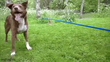   , , , 