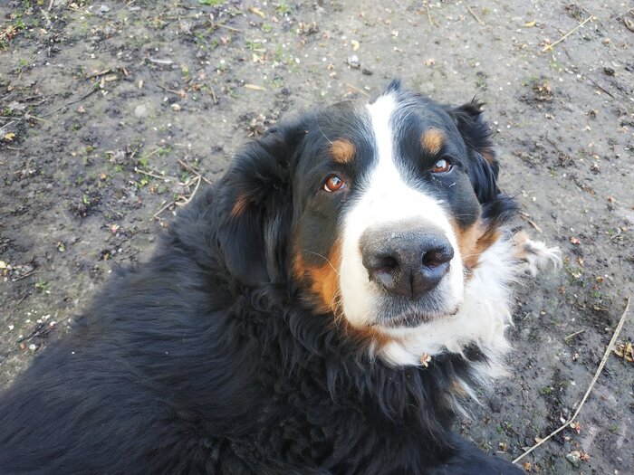 Разбужен для фото неспециально.