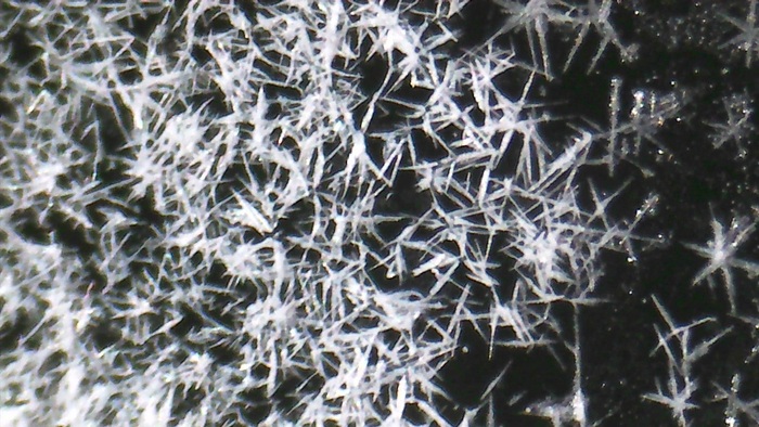 Увеличение х80. сухой, верхняя подсветка