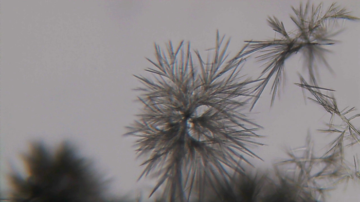 Увеличение х200, раствор