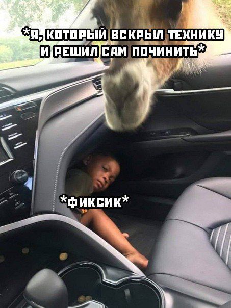 А вы их тоже не видели?