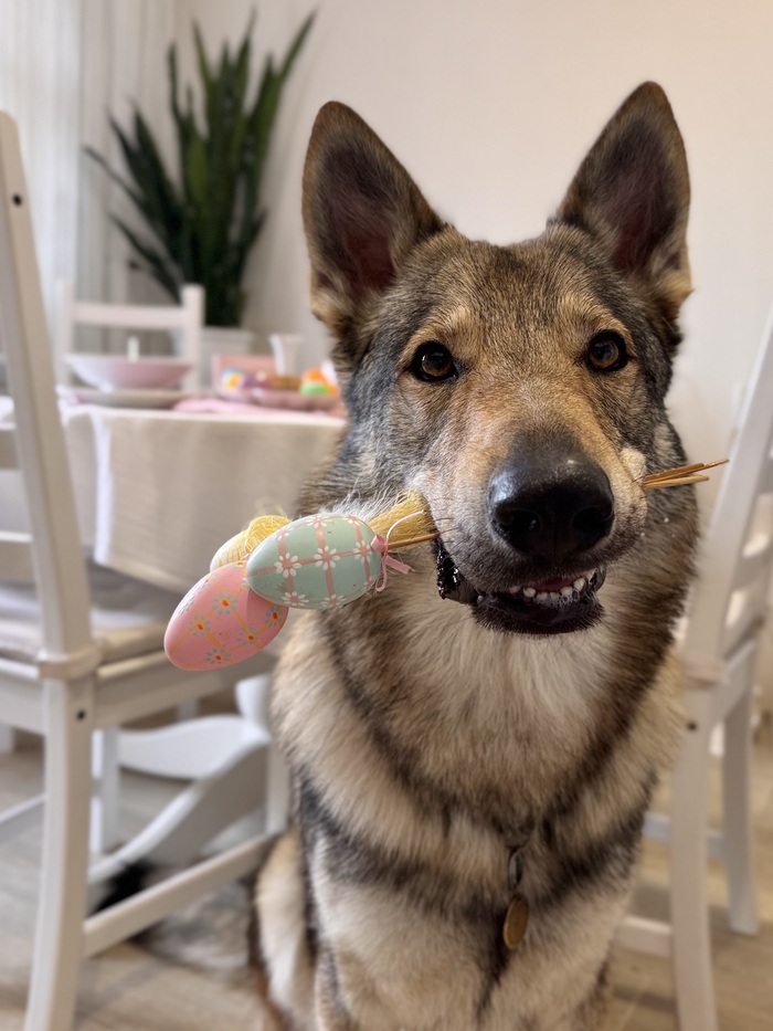 С праздником Светлой Пасхи!