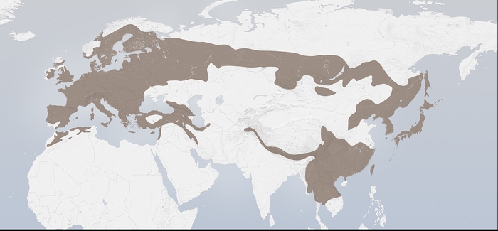 Ареал распространения.