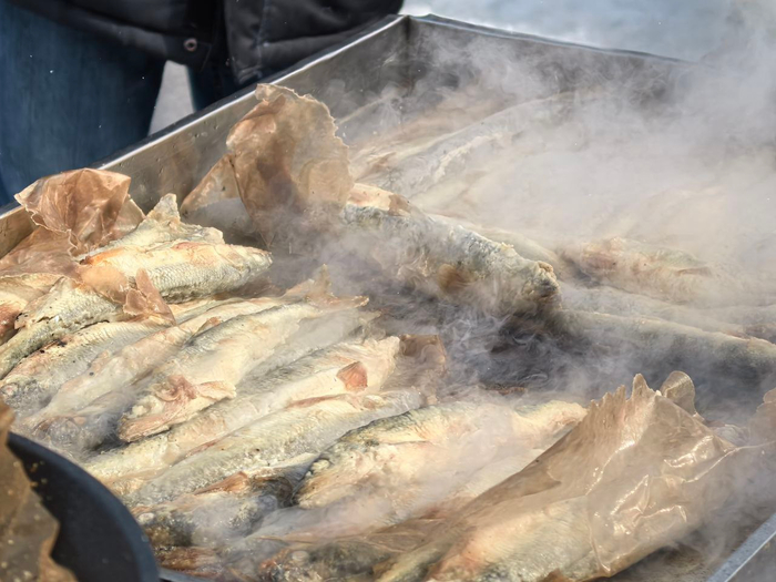     -  .      .    , , ,      . ,      5000 